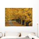 Trees In Autumn Wall Mural