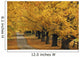 Trees In Autumn Wall Mural