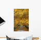 Trees In Autumn Wall Mural
