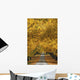 Trees In Autumn Wall Mural