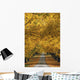 Trees In Autumn Wall Mural