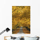 Trees In Autumn Wall Mural
