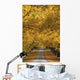 Trees In Autumn Wall Mural