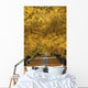 Trees In Autumn Wall Mural