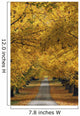 Trees In Autumn Wall Mural