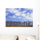 Trees And Clouds Wall Mural