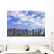 Trees And Clouds Wall Mural