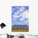 Row Of Trees With Clouds Wall Mural