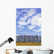 Row Of Trees With Clouds Wall Mural