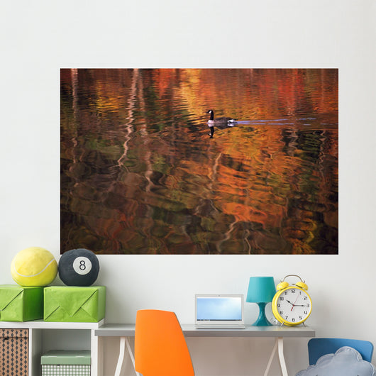 Canada Goose In Water Wall Mural