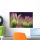 Two Magenta Tulips Opening Wall Mural