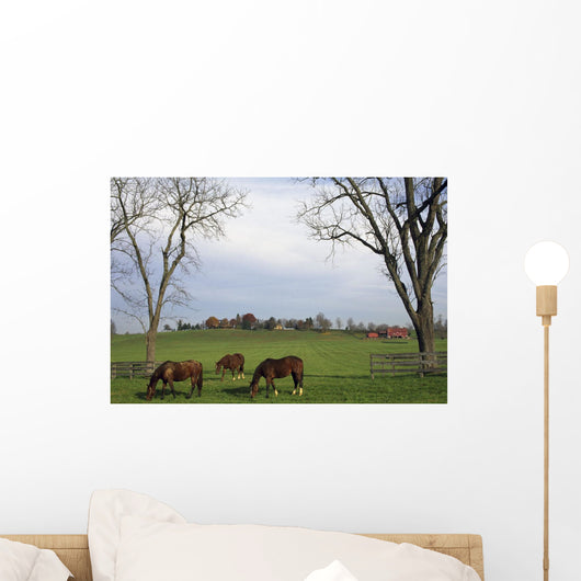 Horses Grazing Wall Mural