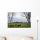 Horses Grazing Wall Mural