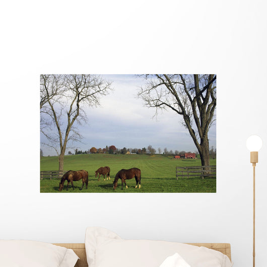 Horses Grazing Wall Mural