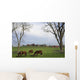Horses Grazing Wall Mural