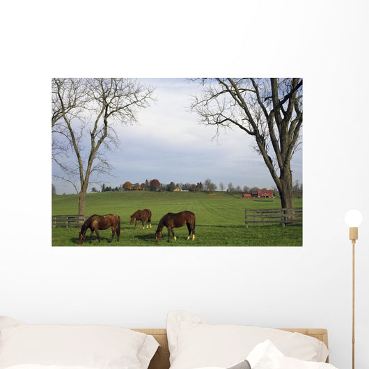 Horses Grazing Wall Mural