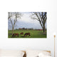 Horses Grazing Wall Mural