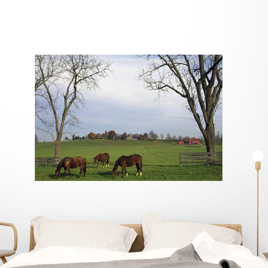 Horses Grazing Wall Mural