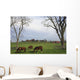 Horses Grazing Wall Mural