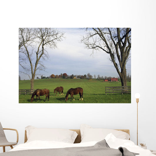 Horses Grazing Wall Mural