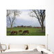 Horses Grazing Wall Mural