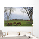 Horses Grazing Wall Mural