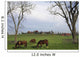 Horses Grazing Wall Mural