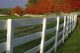Fenceline Wall Mural