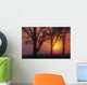 Trees In The Sunrise Wall Mural