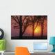 Trees In The Sunrise Wall Mural
