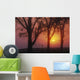 Trees In The Sunrise Wall Mural
