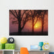 Trees In The Sunrise Wall Mural