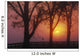 Trees In The Sunrise Wall Mural