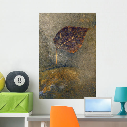 Frozen Leaf Wall Mural