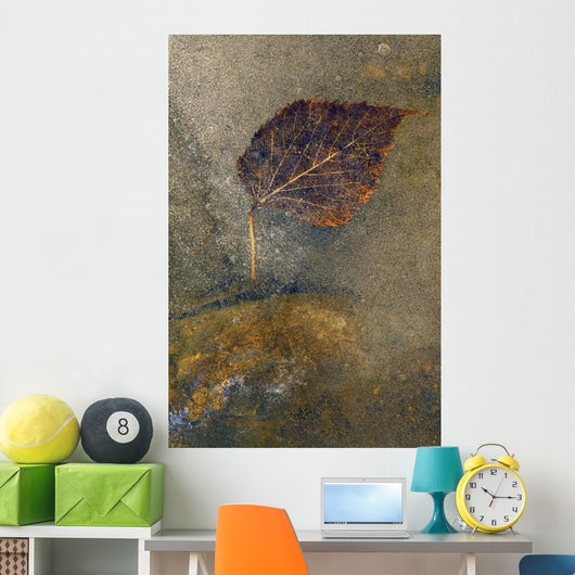 Frozen Leaf Wall Mural