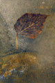 Frozen Leaf Wall Mural