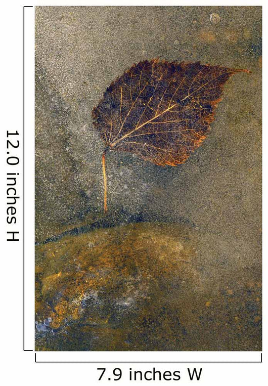 Frozen Leaf Wall Mural
