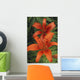 Orange Day Lilies Wall Mural