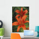 Orange Day Lilies Wall Mural