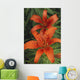 Orange Day Lilies Wall Mural