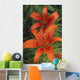 Orange Day Lilies Wall Mural
