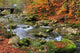 Autumn Wall Decal Design 4