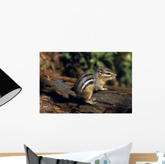 Chipmunk On A Log Wall Mural