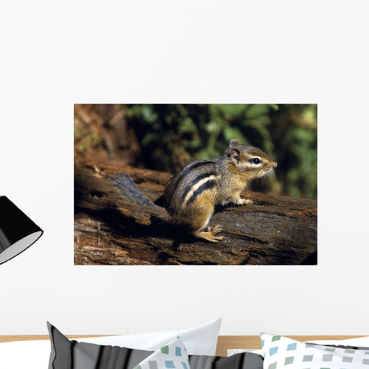 Chipmunk On A Log Wall Mural