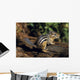 Chipmunk On A Log Wall Mural