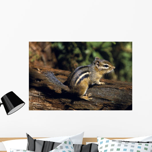 Chipmunk On A Log Wall Mural