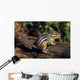 Chipmunk On A Log Wall Mural