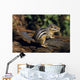 Chipmunk On A Log Wall Mural