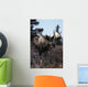 Bull Moose Wall Mural
