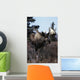 Bull Moose Wall Mural